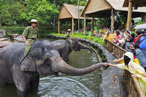 Eight Awesome Zoos in Southeast Asia .